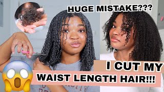I CUT MY WAIST LENGTH HAIR!!! | What was I thinking?!?!?