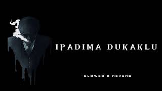 IPADIMA DUKAKLU | ඉපදීම දුකක්ලු : [ slowed x reverb ] | Manee Vibez