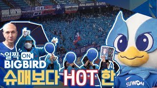 [일찍ON빅버드] 슈매보다 HOT한 🔥