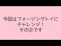 フォージングトイにオカメインコ３羽で挑戦！その②編vol.49【発情対策】three cockatiels challenge forging toys オカメインコ cockatiel フォージング