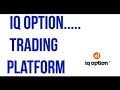 Live Trading on IQ Option