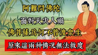 阿難問佛陀：面對災禍，佛菩薩為何不普渡眾生，原來這兩種情況無法救度。#佛教 #佛家 #佛法 #佛學知識 #佛學智慧 #修心修行 #佛教文化 #禪悟人生 #傳統文化