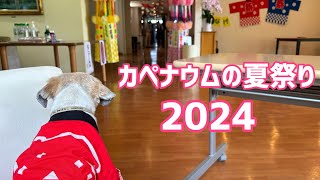 2024年も夏祭りを開催しました！【有料老人ホームグランドホーム・カペナウム】