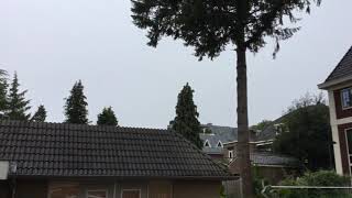 Very loud lightningstrike 20-07-2019, Velp Netherlands