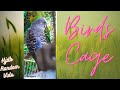 🦜Budgies Old Small Cage🦜[HJDB Random Vids]