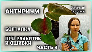 ПРО АНТУРИУМ. БОЛТАЛОЧКА ПРО РАЗВИТИЕ И МОИ ОШИБКИ В УХОДЕ ЗА РАСТЕНИЯМИ