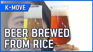 Beer Brewed from Rice / YTN KOREAN