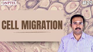 #22 Cell Migration | Introduction to Tissue Engineering