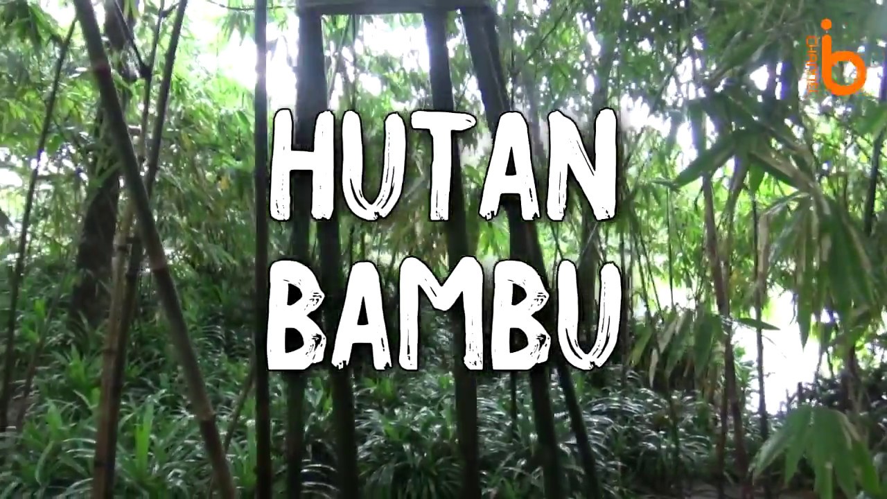 Wisata Hutan Bambu Kota Bekasi - Pariwisata Dunia