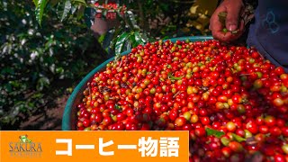 コーヒー物語  Una Historia de Café【コスタリカ Costa Rica】