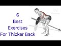 6 Best Exercises For Back Thickness l Mohit Fitness