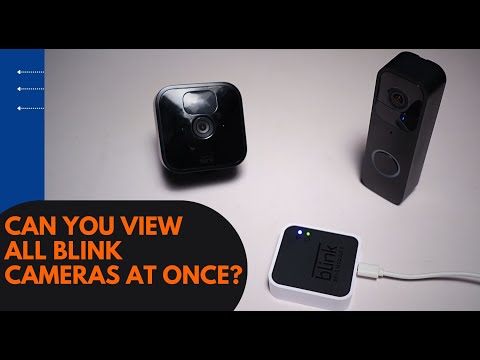 Can you view all Blink cameras at once?