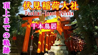 4K【伏見稲荷大社】千本鳥居　4K [Fushimi Inari Taisha] Thousand torii gates