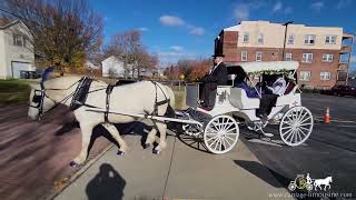 Honoring Loved Ones: Funeral Carriage Ride with Victorian Charm – Victorian Carriage 120