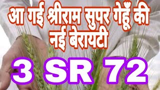 आ गई गेहूँ की नई किस्म sreeram super 3 SR 72 #gehu ki kheti