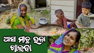 ଆସ ମାଛ ଭଜା ଖାଇବ 😜 / dipanjali