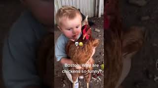 Why are chickens so funny?