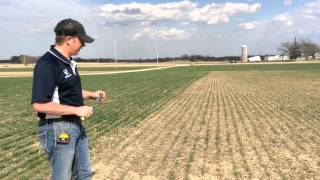 Planting Date Effect on Wheat Stands