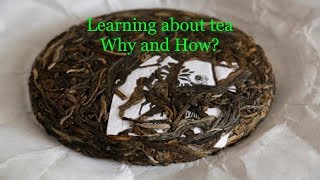 The process of learning about tea