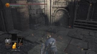 DARK SOULS III　竜追い人の遺灰だけとってくる