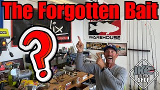 The Forgotten Bait Must Know