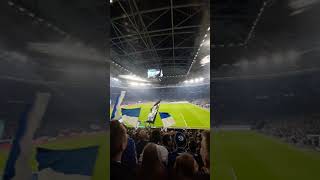 Fc Schalke 04 3:0 Dynamo Dresden Das Tor zum 3:0