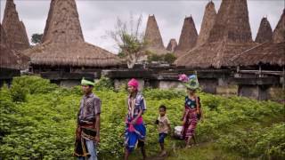 Why are Languages Becoming Extinct?