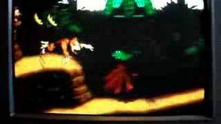 Donkey Kong Country-\