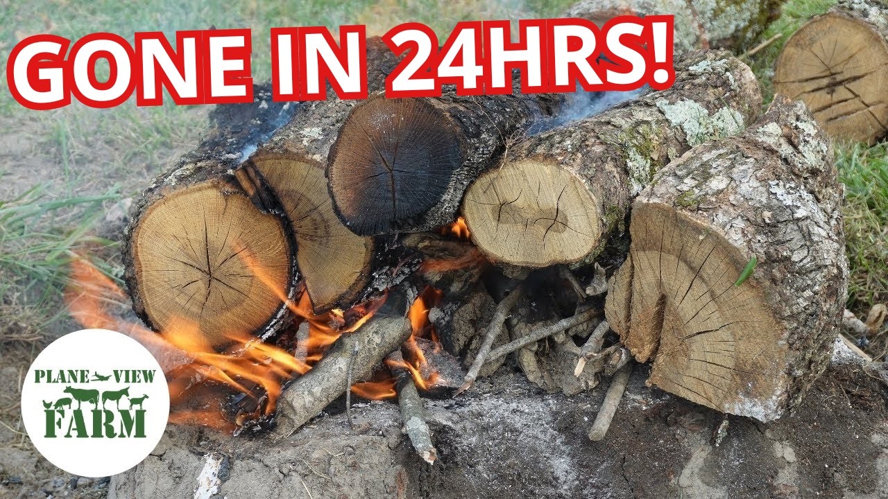 Super Easy Stump Removal How Burn Out A Tree Stump Youtube