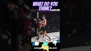 Savage Kickboxing Knockout Nieky Holzken Flashback Muay Thai