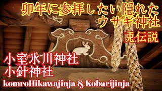 埼玉 伊奈町総鎮守の歴史と伝説『小室氷川神社と小針神社』菜の花の囲まれた関東の阿蘇神社【音声ガイド】