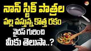 నాన్ స్టిక్ పాత్రల వల్ల వస్తున్న కొత్త రకం వైరస్ గురించి మీకు తెలుసా ?  | Truth About Non-Stick Pans