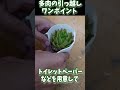 s20【多肉の引越し】コツは乾燥！土つき？抜き苗？