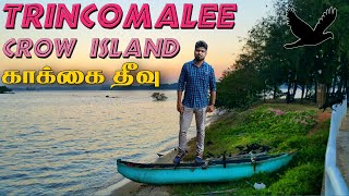 Trincomalee Crow Island | திருகோணமலை இயற்கை துறைமுகம் அருகாமையில் | VLOG