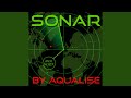 Sonar (Acoustic Epic Mix)