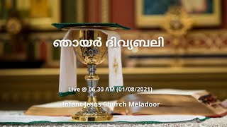 ഞായർ ദിവ്യബലി/ Malayalam Holy Mass / Syro Malabar