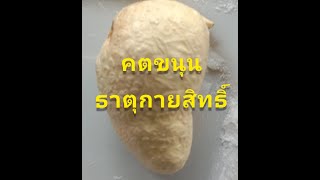 คตธาตุกายสิทธิ์สิทธิ์