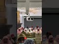 POSITION OF IMAM OF TARAWIH PRAYER IN MASJID AL HARAM, MAKKAH