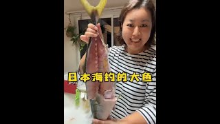 老公刚从日本海里钓来的大鱼，看看变身后的样子，我都佩服自己的刀功。#日本生活 #好大一条鱼 #日常vlog @DOU+小助手