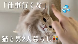 【新技披露】仕事に行ってほしくない猫【猫と男2人暮らし👬】