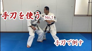 手刀を使う No.1　Shuto(parrying and sword-hand)