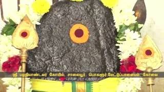 சாலையூர் பழநியாண்டவர் கோயில்