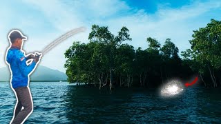 Dari laut sampai susur muara hanya untuk mencari Sambaran ikan ini ‼️.......