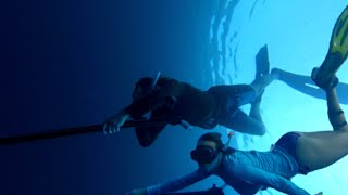 Spearfishing - Episode 2: Beginners Spear A Fish