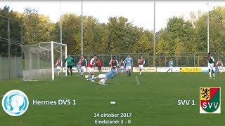 Samenvatting Hermes DVS 1 -  SVV 1