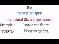 rat meaning in hindi rat ka matlab kya hota hai word meaning