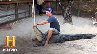 Modern Marvels: Seminole Alligator Wrangling Tips | History