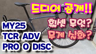 2025 TCR 어드밴스 프로 0 디스크 #자이언트자전거 #별바이크