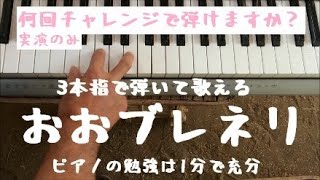 チャレンジシリーズ「おおブレネリ」