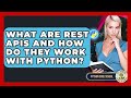 What Are REST APIs And How Do They Work With Python? - Python Code School